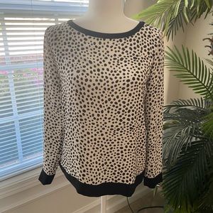 Ann Taylor Loft blouse